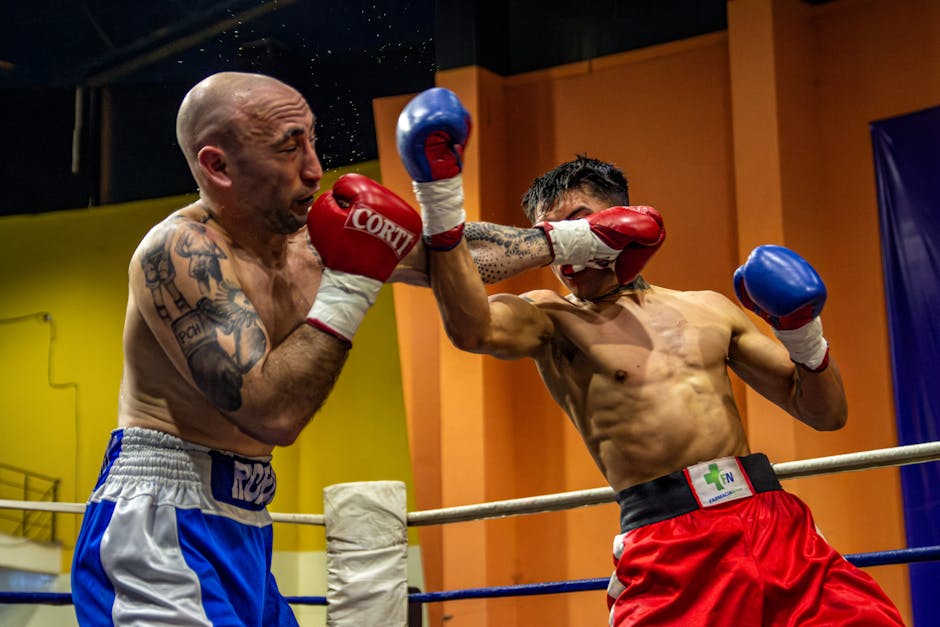 Professional Boxing Training